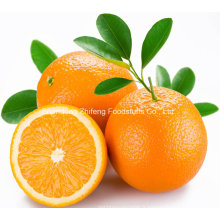 Orange frais navel de qualité chinoise